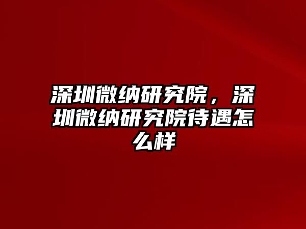 深圳微納研究院，深圳微納研究院待遇怎么樣
